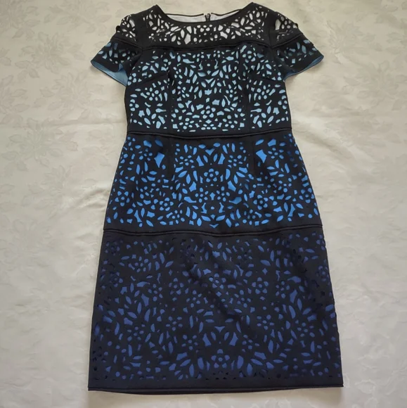 Shani | Dresses | Shani Ombre Laser Cut Lace Sheath Luxury Dress Short  Sleeves Wearable Art | Poshmark
